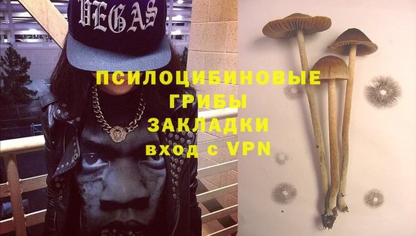 бошки Армянск