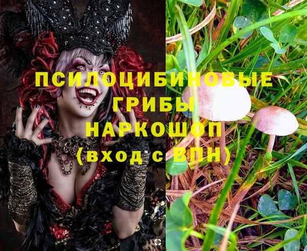 гидропоника Арсеньев