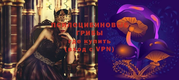 гидропоника Аркадак